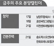 [분양캘린더]이번주 9,600가구 공급..4차 사전청약 물량이 65%