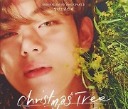 '日오리콘 최정상' 방탄소년단 뷔 'Christmas Tree' 데일리 디지털 싱글 1위..韓솔로 최다 다운로드 '최강 솔로'