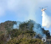 겨울철 산불위험 고조..강원도 산불방지대책본부 조기 가동