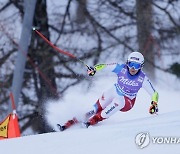 Austria Alpine Skiing World Cup