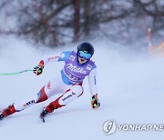 Austria Alpine Skiing World Cup