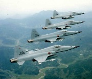 'F-5E 추락사고' 공군 "오늘부터 비행 단계적 재개"