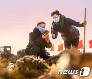 '포전에 정성' 기울이는 북한 남새전문협동농장