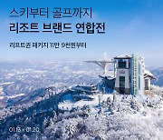 "인기 리조트 최대 55% 할인"..'컬리 리조트 연합전' 진행