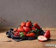 경북지역 딸기 92만달러 수출..전년 比 179.5% 증가