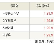 [fnRASSI]오늘의 상한가, 노루홀딩스우 29.9% ↑