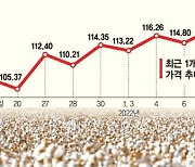 면화값 급등에 PX 호황 기대.. 석화업계 실적 반등할까