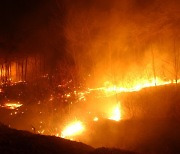 산림청, 가을철 산불방지 총력대응 돌입