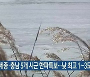 대전·세종·충남 5개 시군 한파특보..낮 최고 1~3도