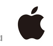 애플의 '뒤끝', 한국 이어 네덜란드에서도 인앱결제 제동걸리자 "보안 검증 못해"