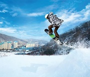 [겨울 관광] 스키장 이색서비스에 탈 맛나네