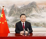 시진핑 "선진국 통화정책 급전환은 개도국 경제에 심각한 영향 미칠것"