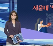 [그래픽뉴스] 서울대 '학내 차별'