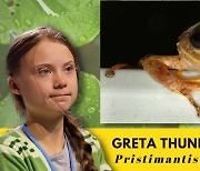 [와우! 과학] "내 이름은 그레타 툰베리"..환경운동가 명명 신종 개구리