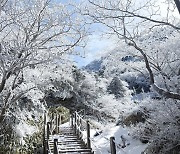 제주 더 위, 설경 아름다운 영실코스 산행 패키지 운영