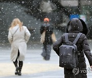 서울에 날리는 눈발