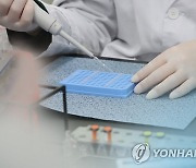 광주·전남 하루 400명대 확진.."오미크론 우세종"(종합)