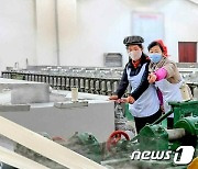 북한 2.8비날론연합기업소.."나라의 맏아들, 맏며느리"