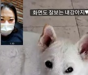 '김원효♥' 심진화, 밖에서도 자식 걱정 "화면도 잘 보는 내 강아지"
