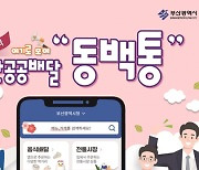 출시기념 15% 파격 캐시백 .. 부산 공공배달앱 '동백통' 정식서비스 개시