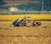 "동아시아 3국, 오존으로 곡물 수확량 감소해 연간 75조원 피해"