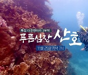 FTV 다큐 '푸른심장, 산호'..유럽·영국·인도 영화제 3관왕 달성