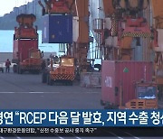 대구경북연구원 "RCEP 다음 달 발효, 지역 수출 청신호"