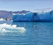 [과학과 놀자] 고체인 얼음이 어떻게 물 위에 뜨는 걸까..수소·산소가 결합된 물엔 특별한게 있다