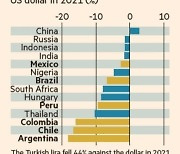 '원자재 최대수출국' 중남미, 원자재 슈퍼사이클에도 통화가치는 하락