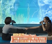 '호적메이트' 최수영X최수진 자매, 맥주 마시며 요가를?