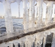 연일 계속된 혹한에 꽁꽁