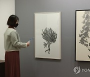 '임인년, 어흥! 호랑이 나온다'
