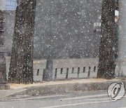 서울시, 내일 수도권 함박눈 예보에 '제설 2단계' 비상근무