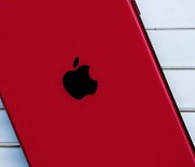 신형 아이폰SE·아이패드 에어 출시 임박.."애플, EEC에 모델명 등록"