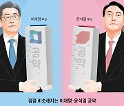 [만물상] 만병통치 대선 공약