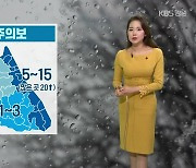 [날씨] 강원 중·북부 산지 '대설주의보'..최고 20cm 눈