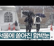 [영상] 서울에 쏟아진 함박눈 풍경..오전 한때 대설주의보