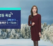[날씨] 밤 사이 강원 영동 '폭설'..절기 대한 추위 기승