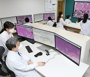 "현미경 대신 고해상 모니터로"..서울아산병원 병리진단의 디지털 시대 개막