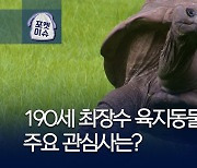 [포켓이슈] 190살 최장수 거북의 관심사는?