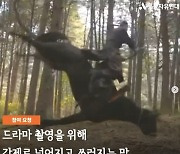 "말 묶어 쓰러뜨려"..KBS '태종 이방원', 동물 학대 의혹 제기