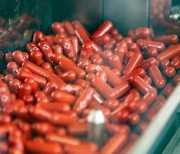 MSD코로나 먹는 치료제..'한미약품·셀트리온·동방에프티엘' 생산·공급