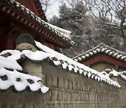 겨울철 불청객 '과다수면'..규칙적인 수면 습관이 중요해