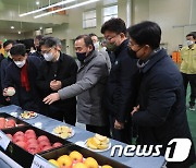 김현수 농림축산식품부 장관 설 성수기 사과수급 점검