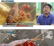 박군, 미국가재 공격성에 '깜짝'.."동종끼리 잡아먹기도"