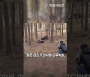 '태종 이방원' 동물학대 논란..동물단체 "말 살아 있는지 알 길 없다"(영상)
