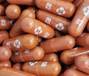 한미약품·셀트리온, MSD 먹는 치료제 '라게브리오' 생산