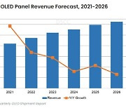 "OLED 패널 시장, 2025년에는 75조원까지 성장"