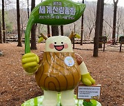 수도권 국립자연휴양림 2개소, '세계산림총회 사진 무대'로 새단장 마쳐