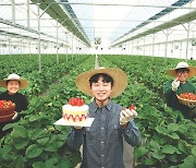 청년농부들과 상생 '프랑스식 딸기 케이크' 제품화